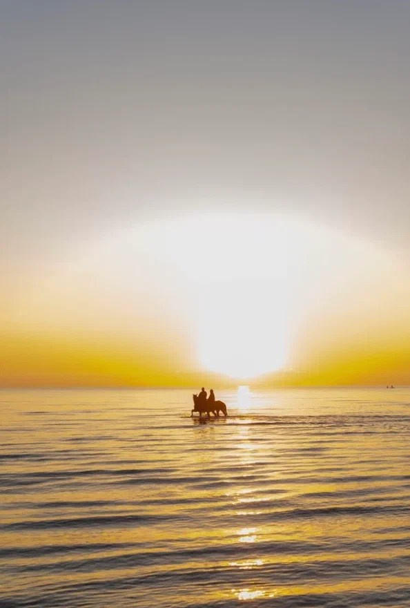 Конна прогулка