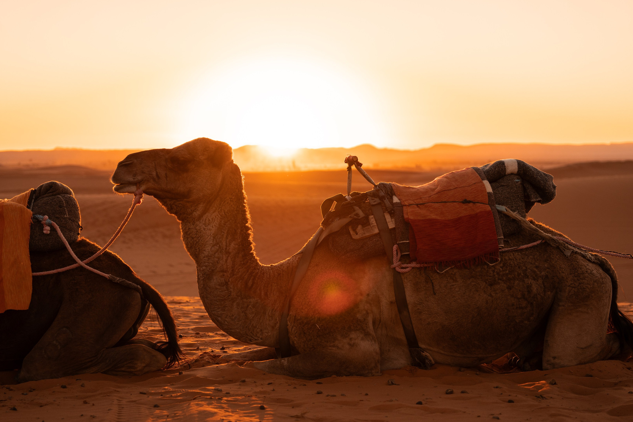 Марокко. Илья Варин — Фотограф Москва, Тверь