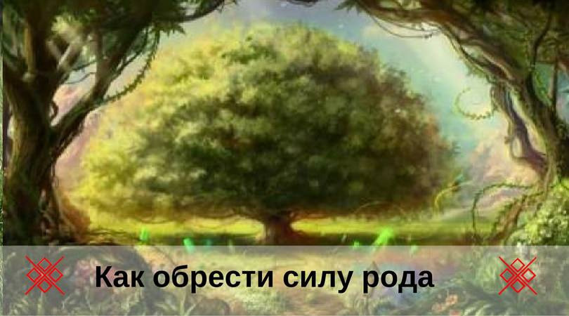 Исцеление родового сценария расстановкой по Хеллингеру