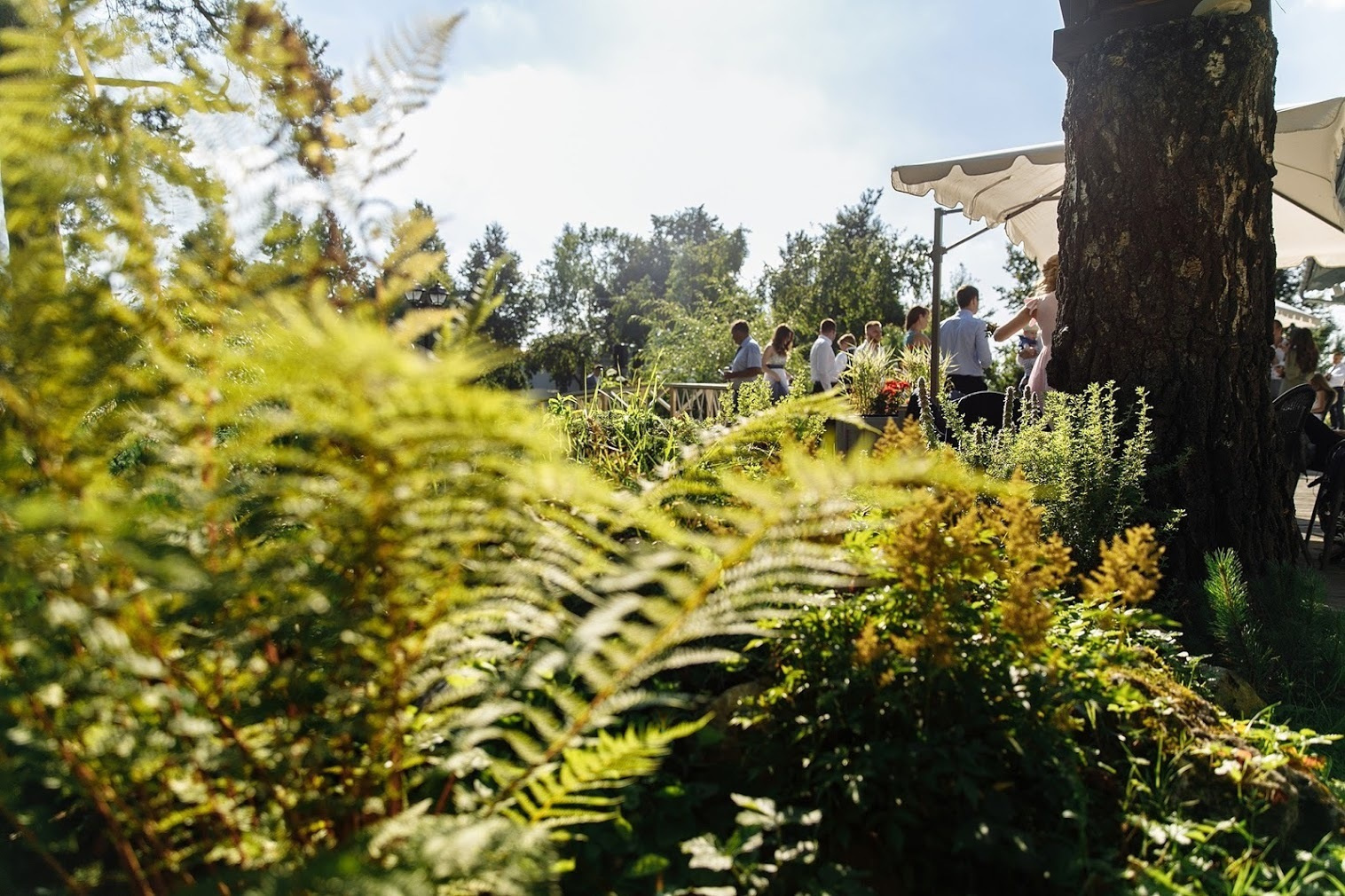 Даша и Дима. 12 августа 2017. Анонс свадьбы. Фотограф Игорь Цаплин