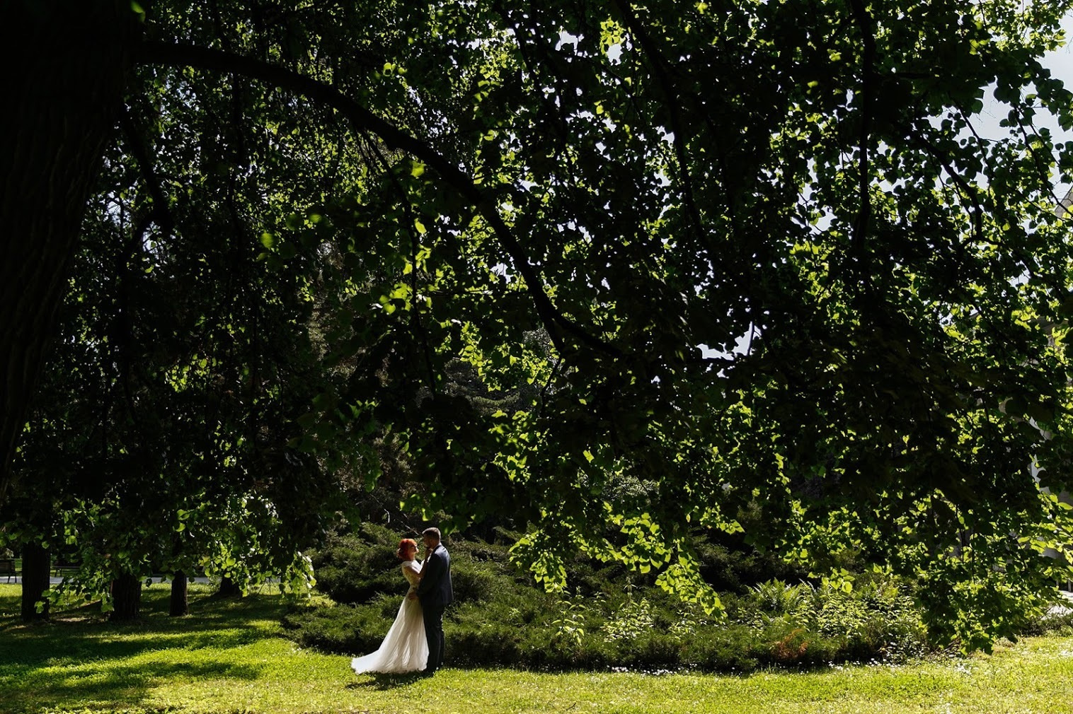 Ирина и Павел. Анонс свадьбы 17 июня 2016. Фотограф Игорь Цаплин