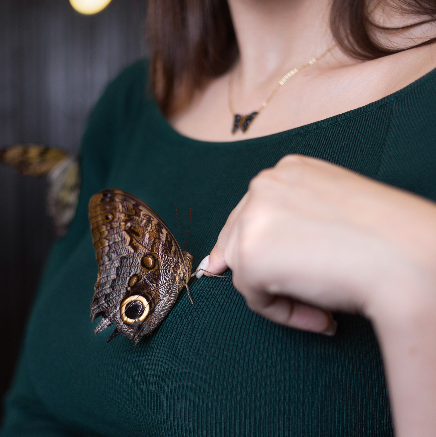 Фотосессия с тропическими бабочками в Минске. Фотограф в Минске Екатерина Тузова
