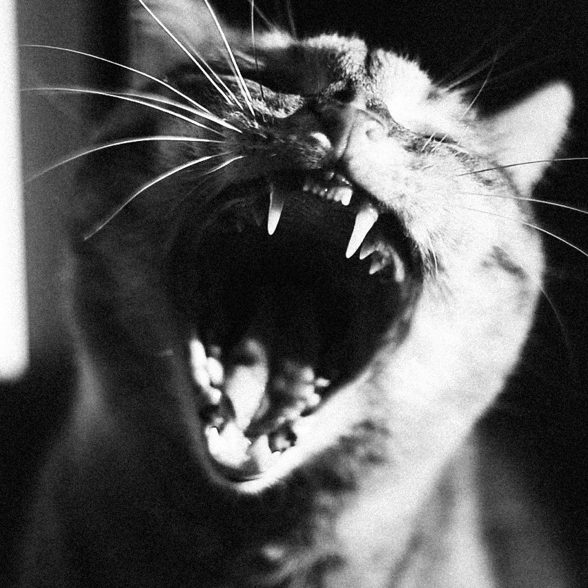 О себе. Фотограф в Тюмени Никита Сабашников