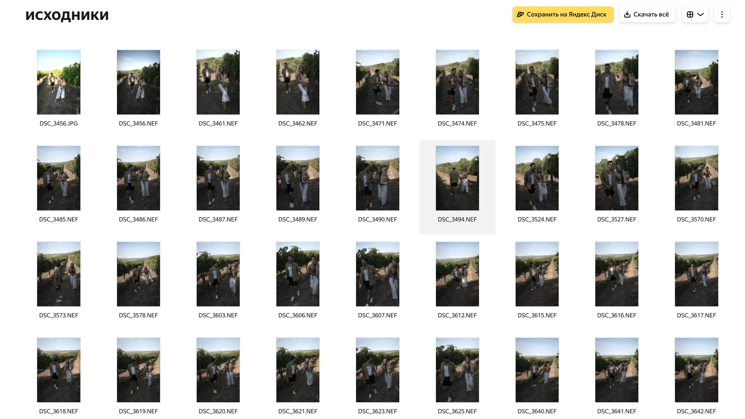 Исходники Лавстори в виноградниках + пикник