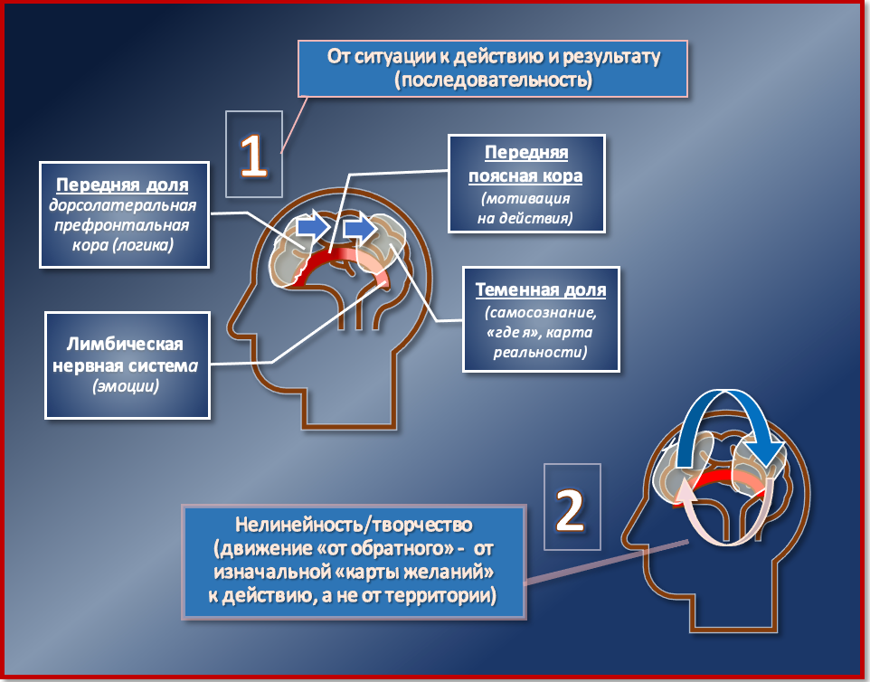 Два пути следования к задуманному — две схемы мышления. Гид и фотограф в Валенсии Новиков Михаил
