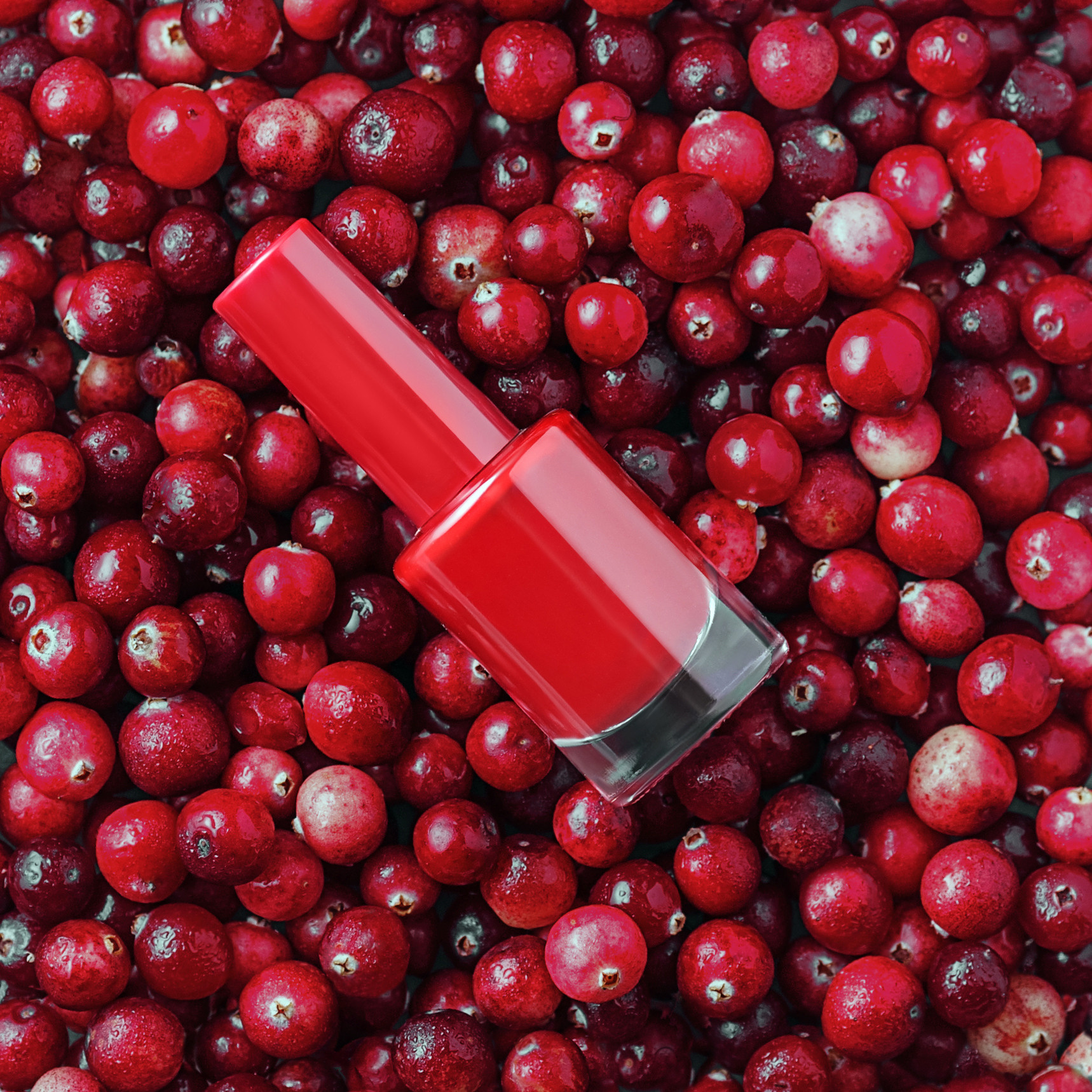 Интенсив «Контент фотография для детей». Фото школа, обучение фотографии в Калининграде