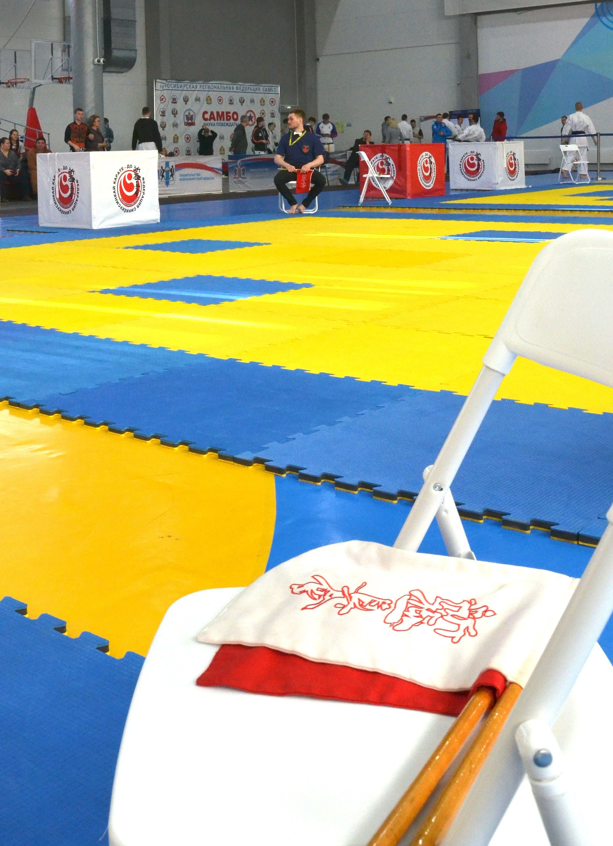 Киокусинкай история. Фотограф анималист, пейзажист, спортивные мероприятия. Новосибирск