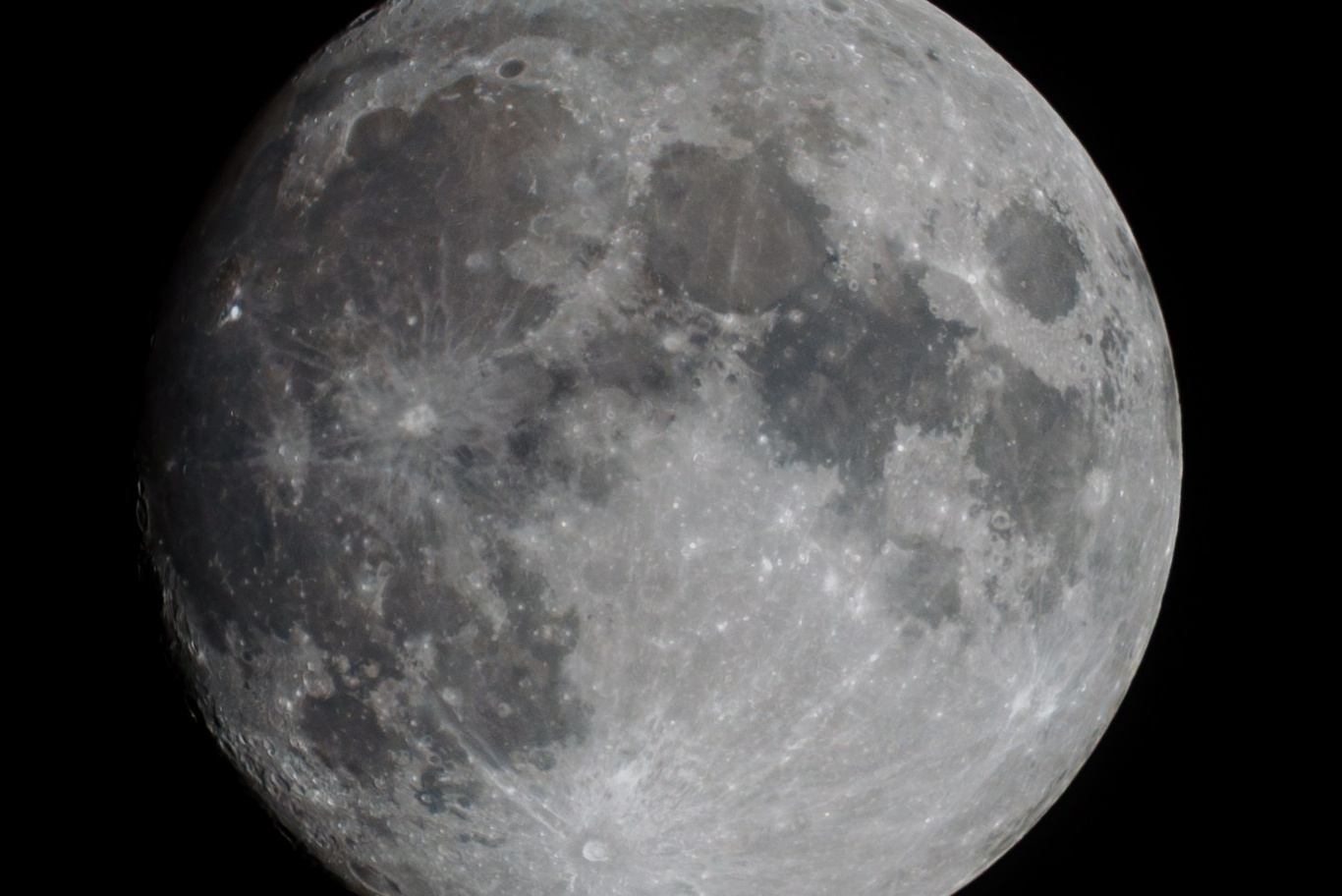 Уходит с уязвлённым самолюбием. Донеал Скнарь — концертный фотограф