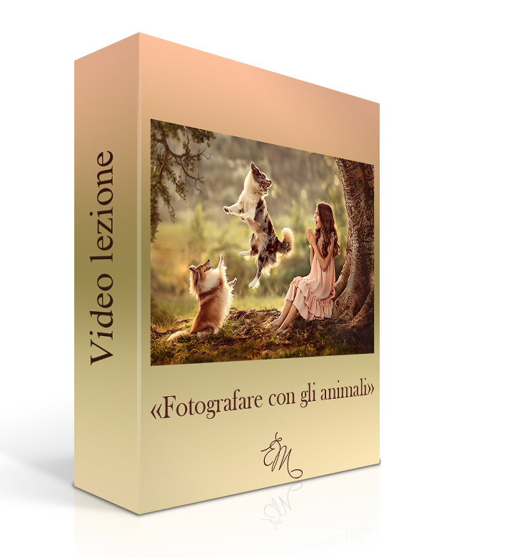 CORSO DI FOTOGRAFIA DI BAMBINI E FAMIGLIE. Fotografa Elena Mikhailova