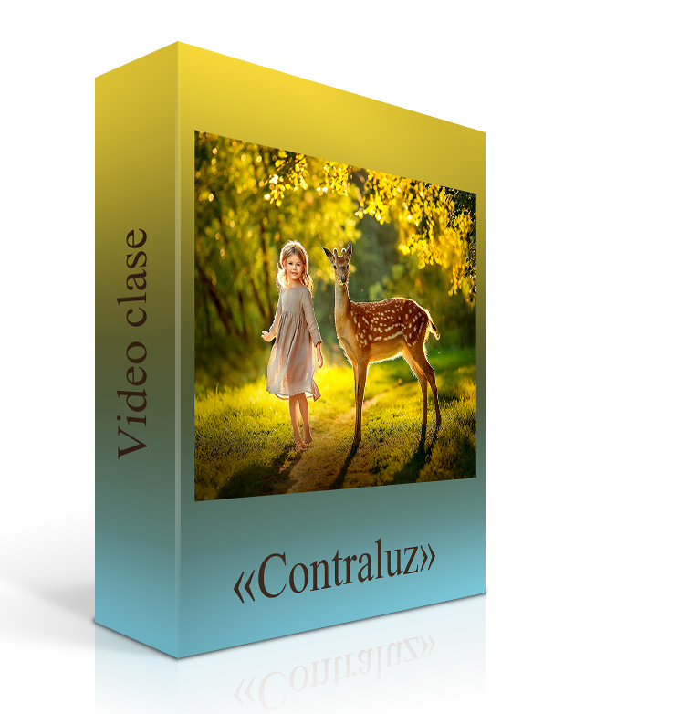 Curso de fotografía familiar y de niños. Es fotografa Elena Mikhailova