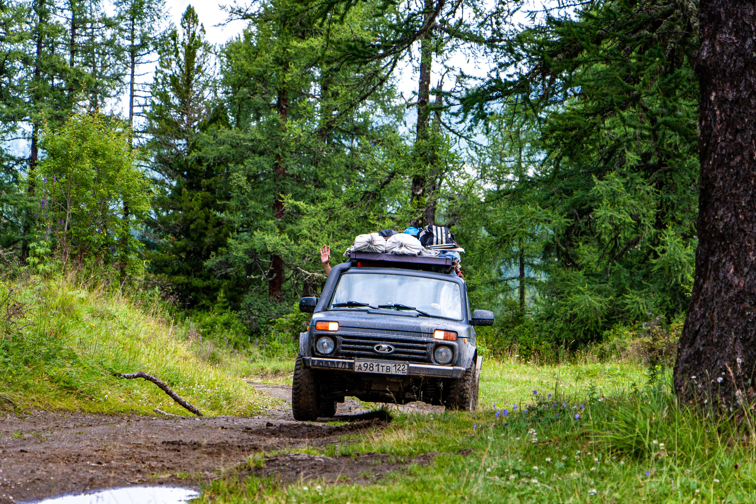 Плато Укок. Gennady Travel