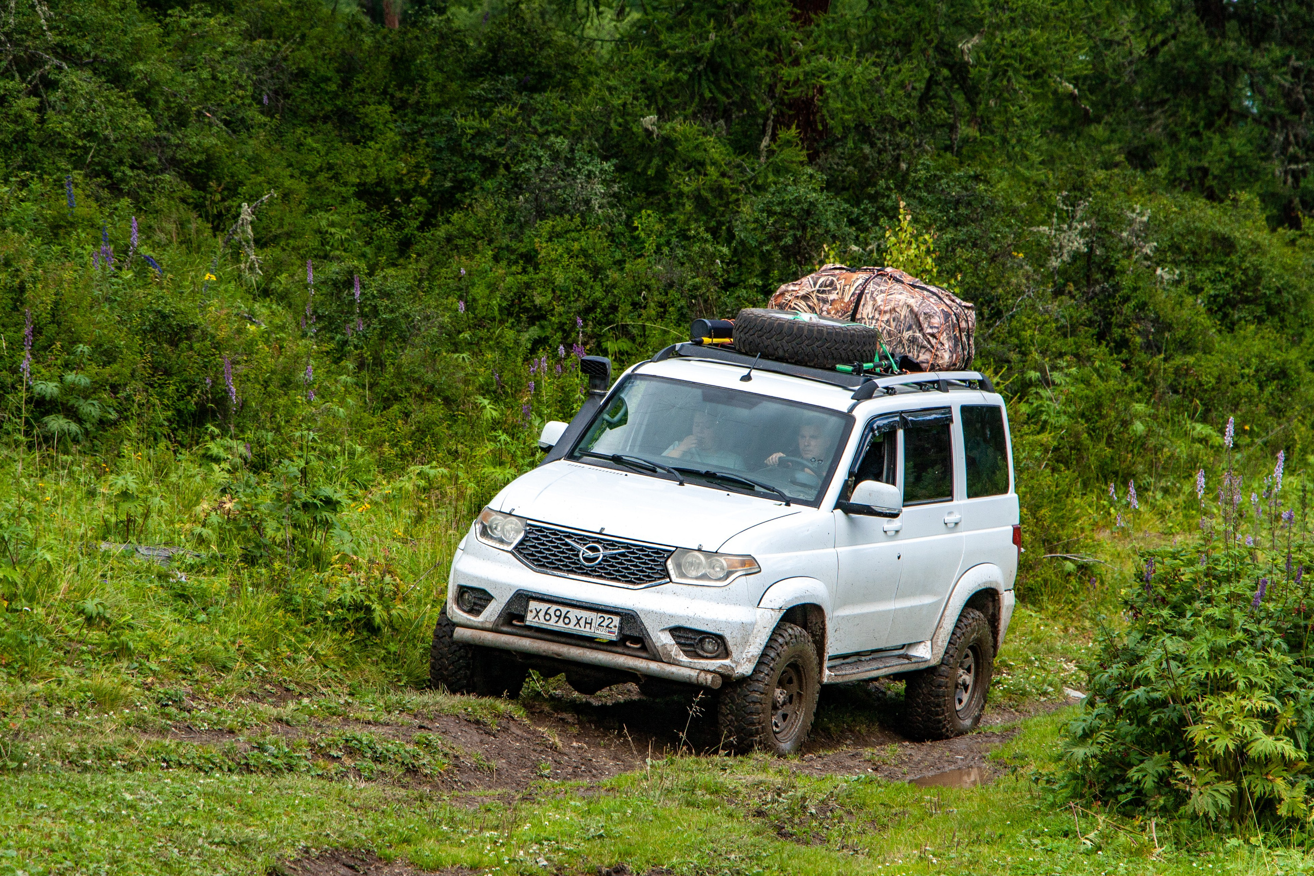 Плато Укок. Gennady Travel