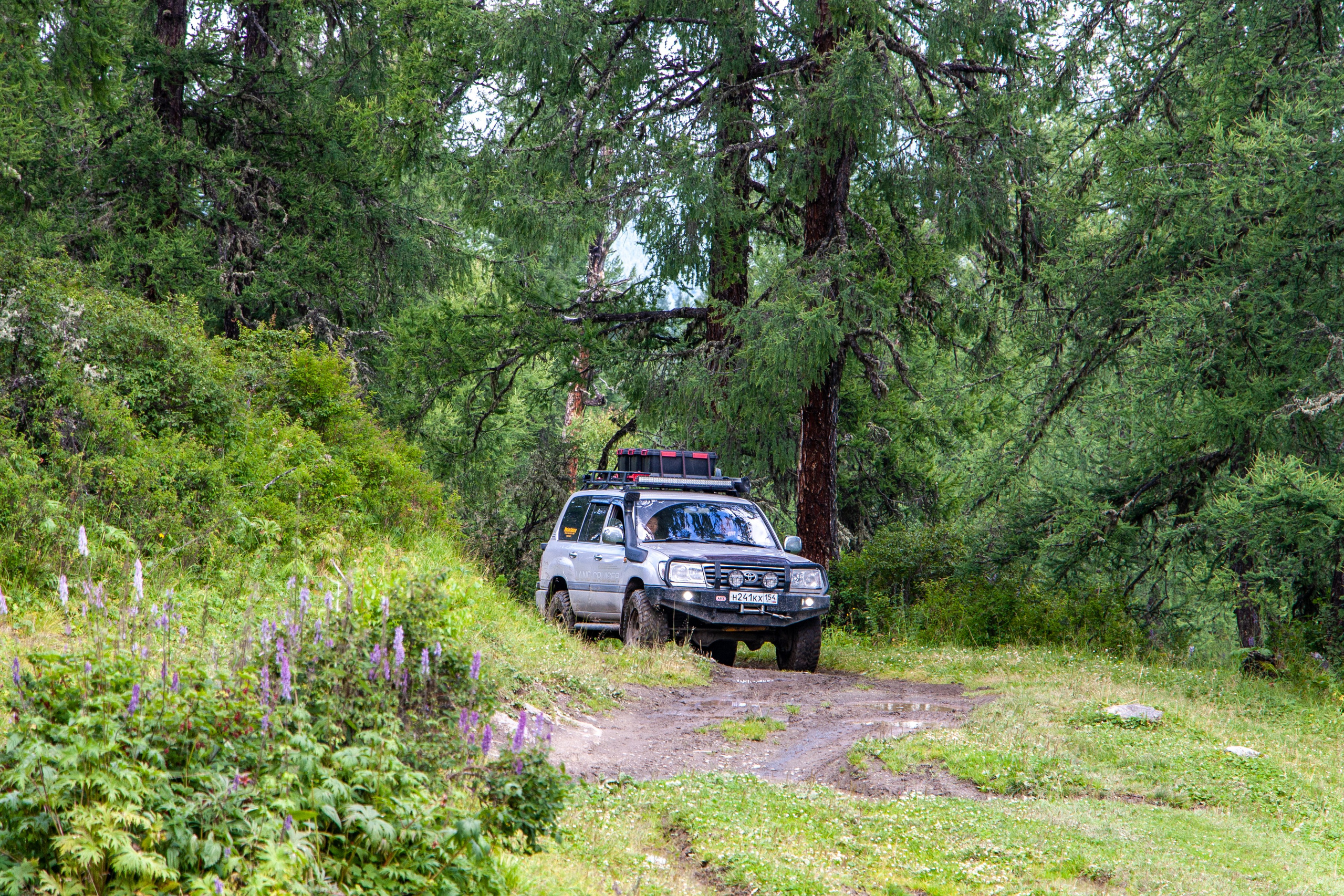 Плато Укок. Gennady Travel