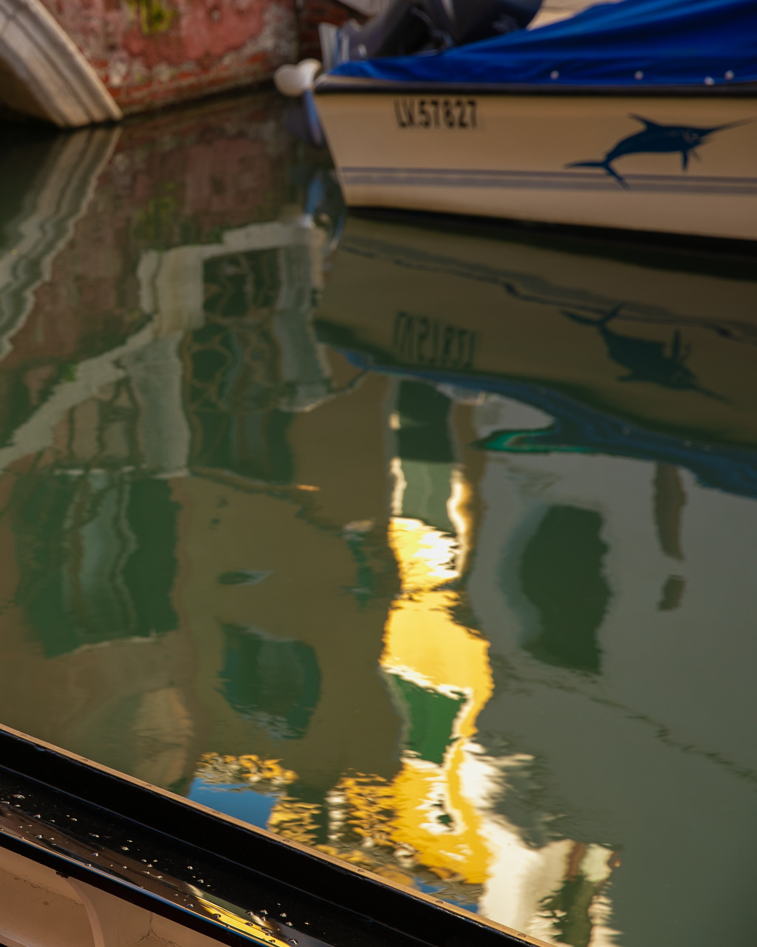 Зима в Венеции. Визуальный художник Лиана Даренская, Москва