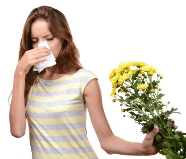 Аллергия. Как распознать первые признаки. Сово-Сово — Омоложение и оздоровление!