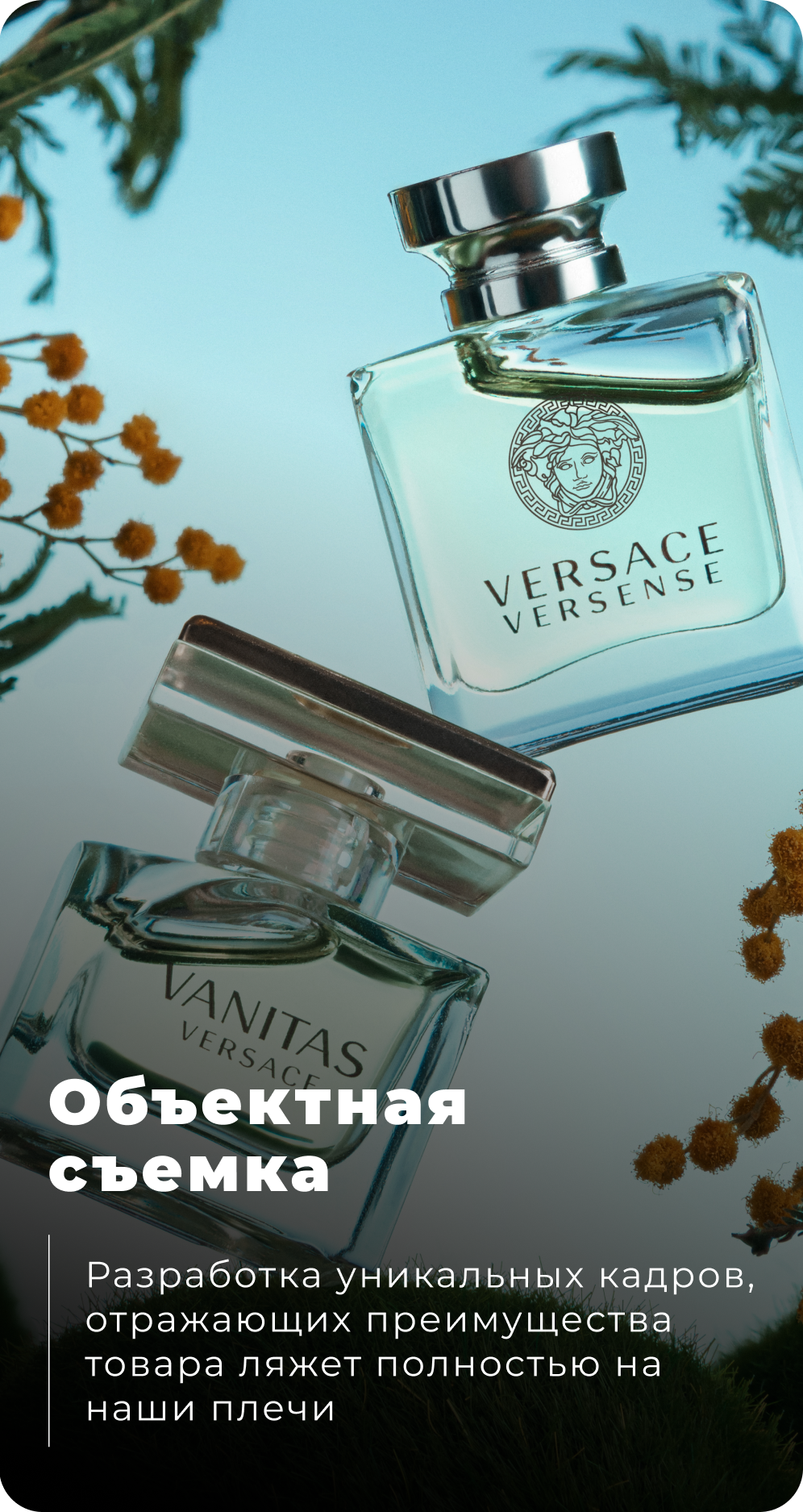 Главная (2). Главная