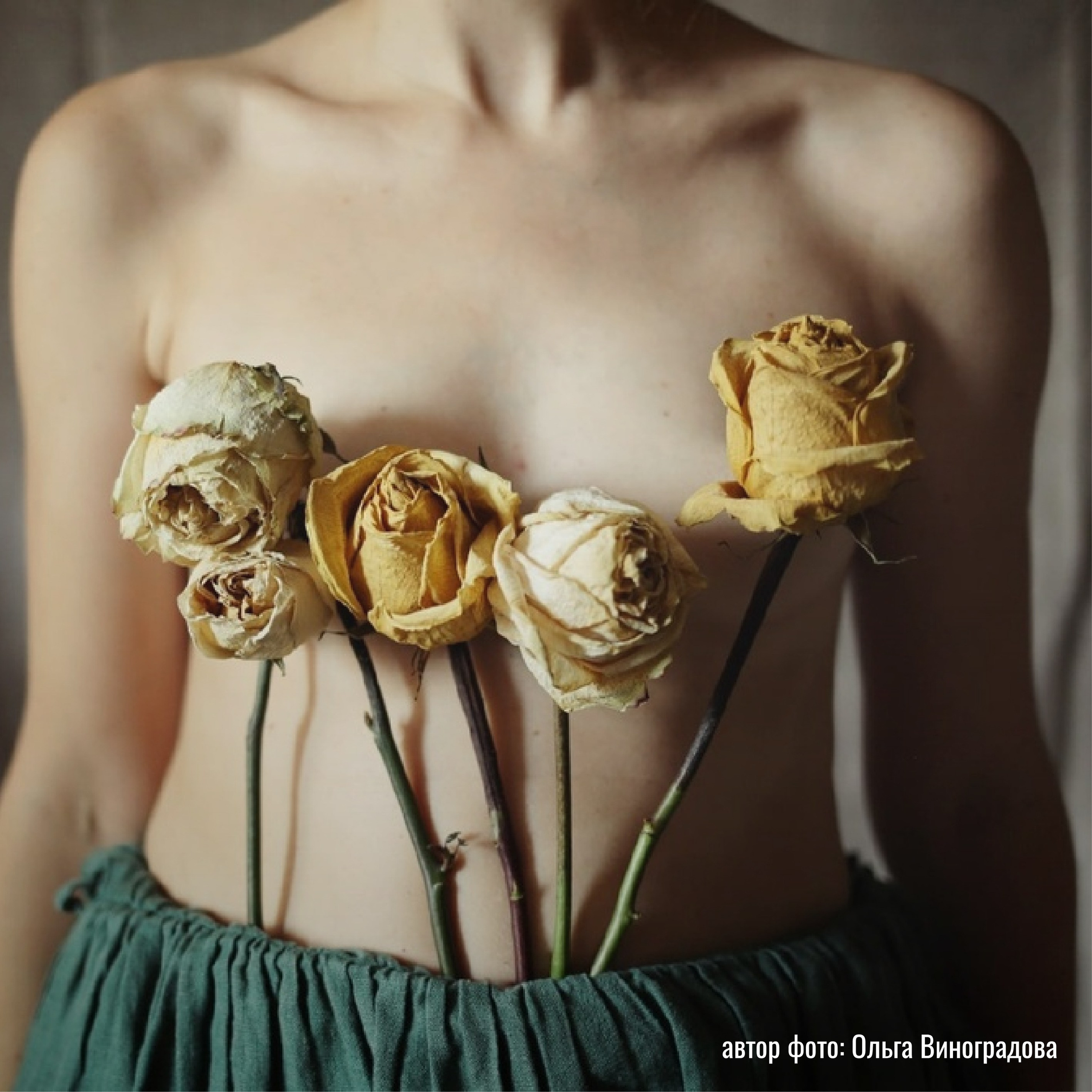 РАБОТЫ СТУДЕНТОВ