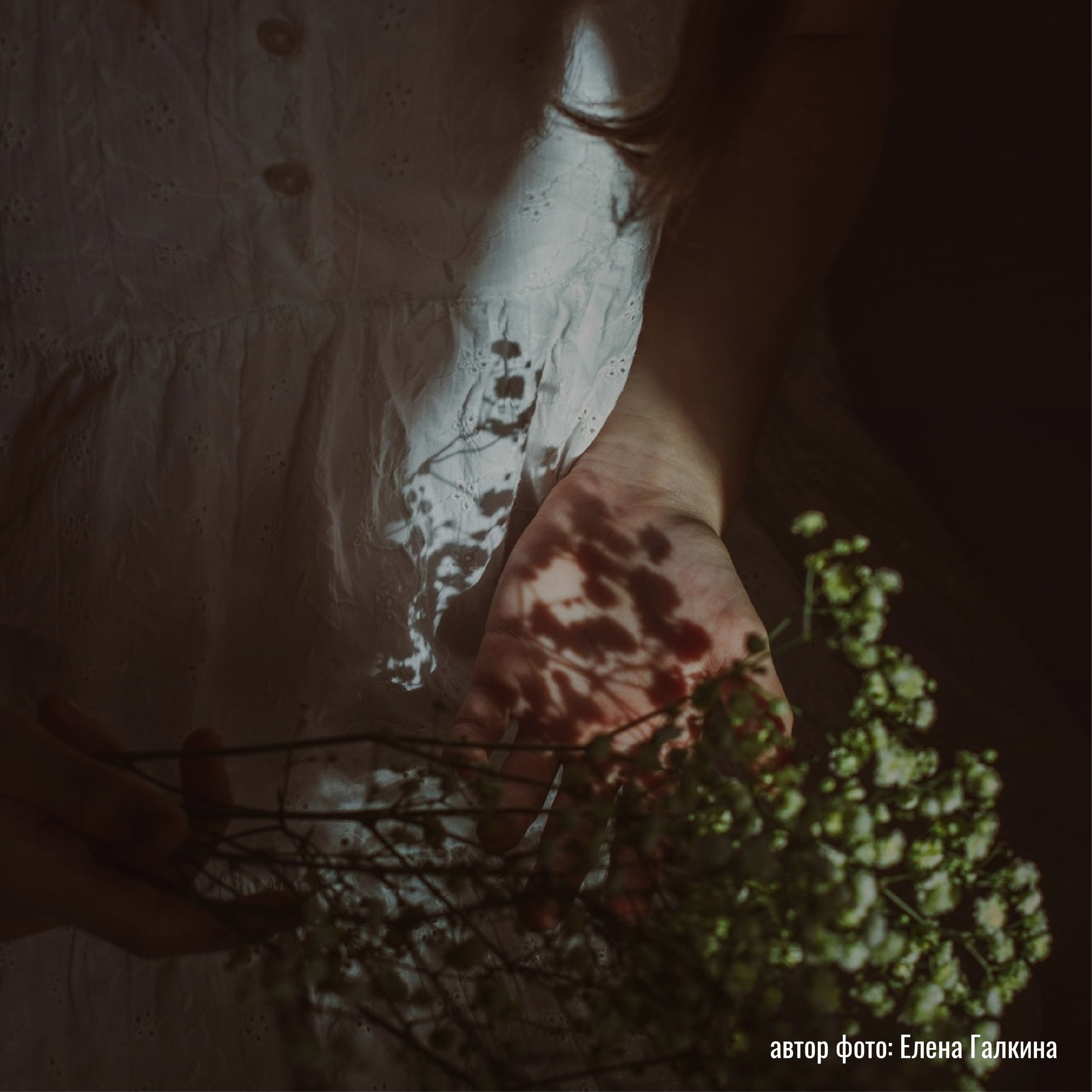 Выставка фотографий модуля «Элемент» — ЛЕТО 2023 | Марусина мастерская