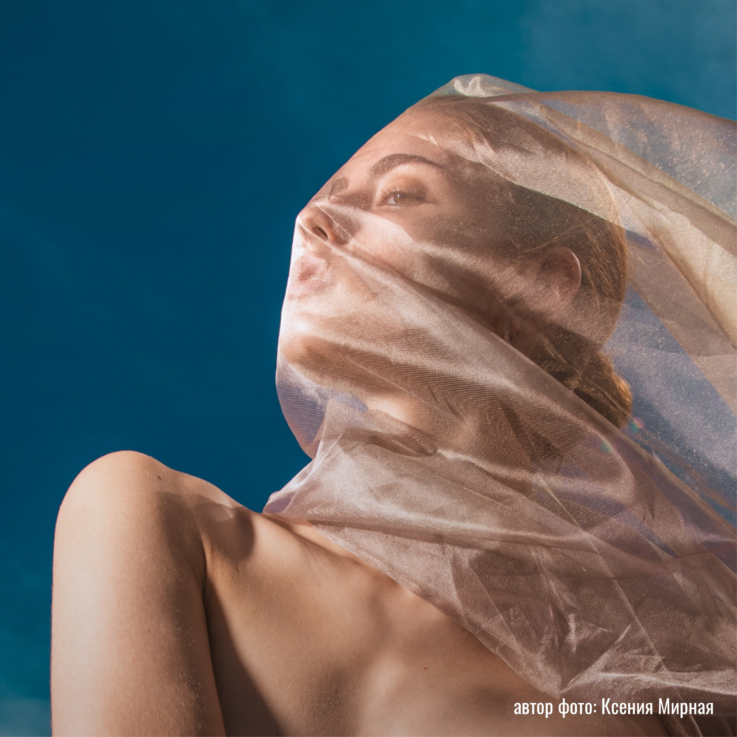 РАБОТЫ СТУДЕНТОВ