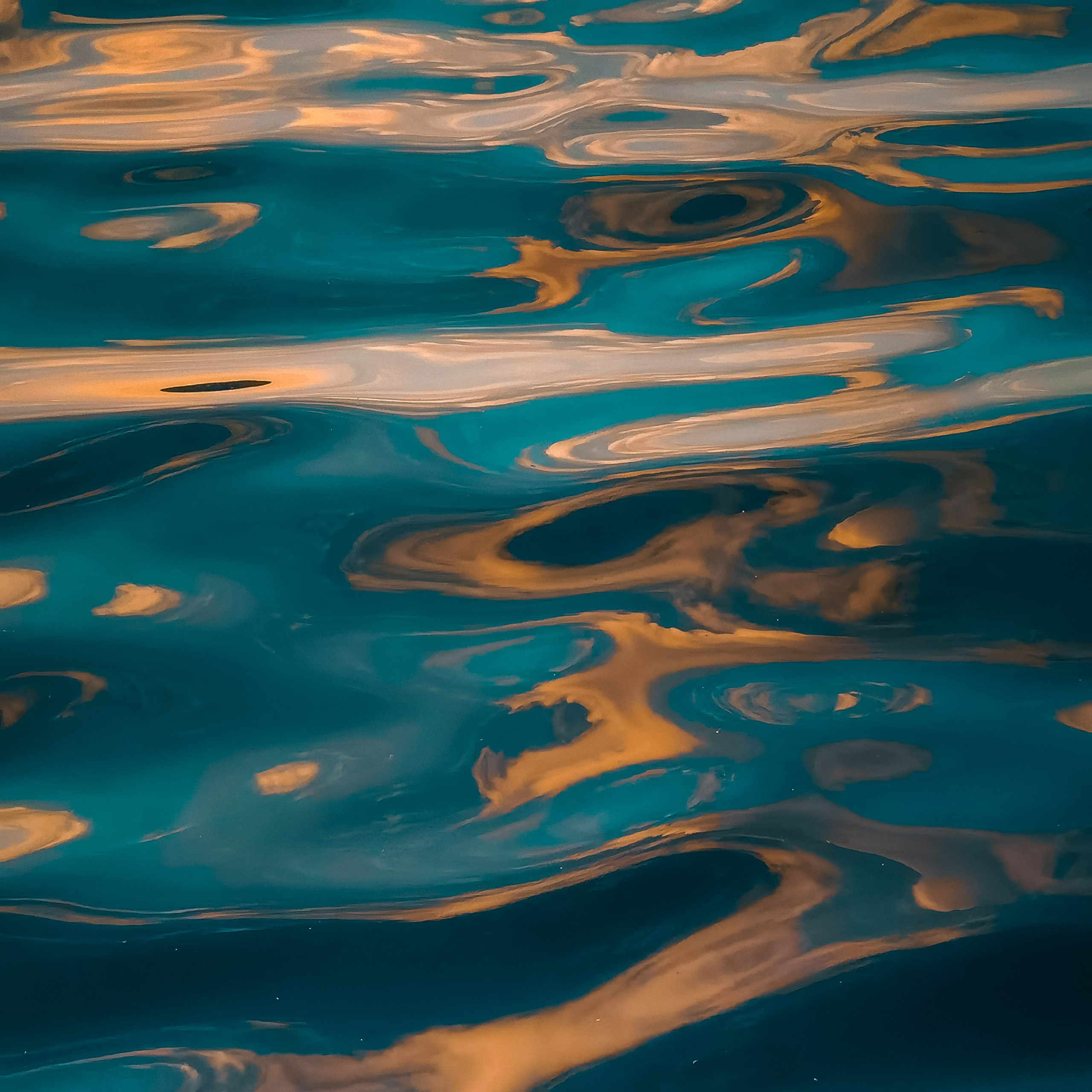 Услуги. Фотограф Минск