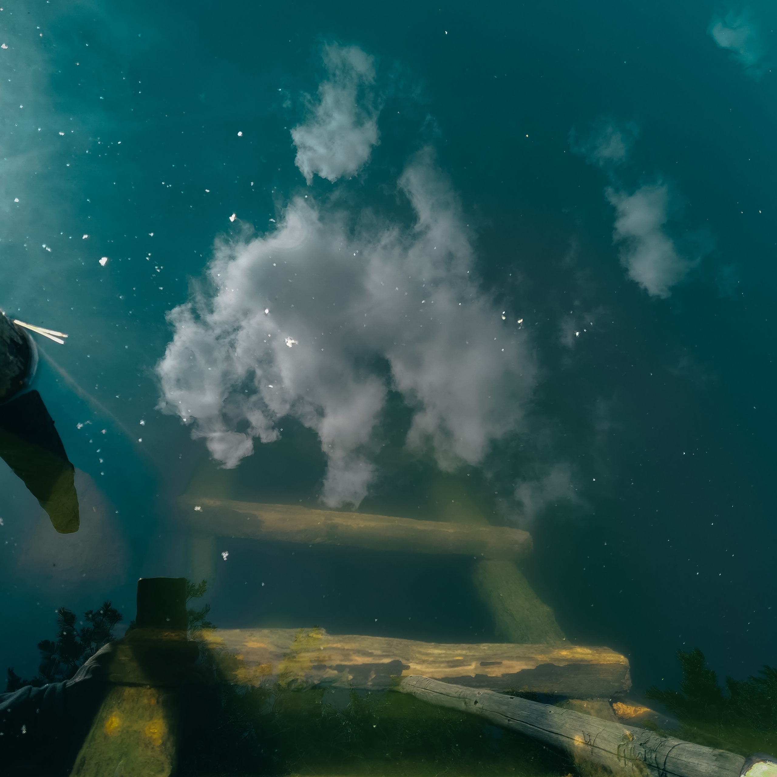 Услуги. Фотограф Минск