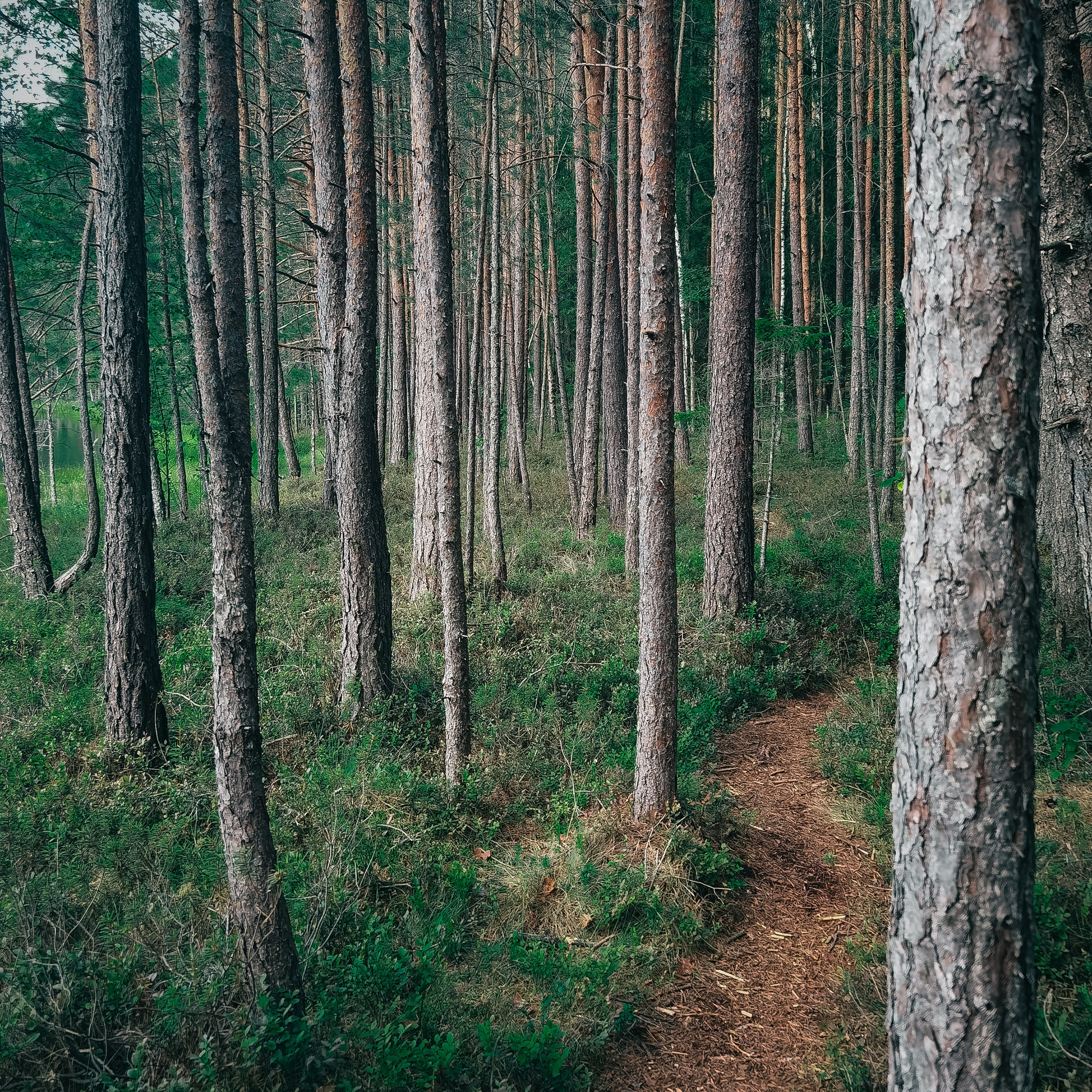 Услуги. Фотограф Минск