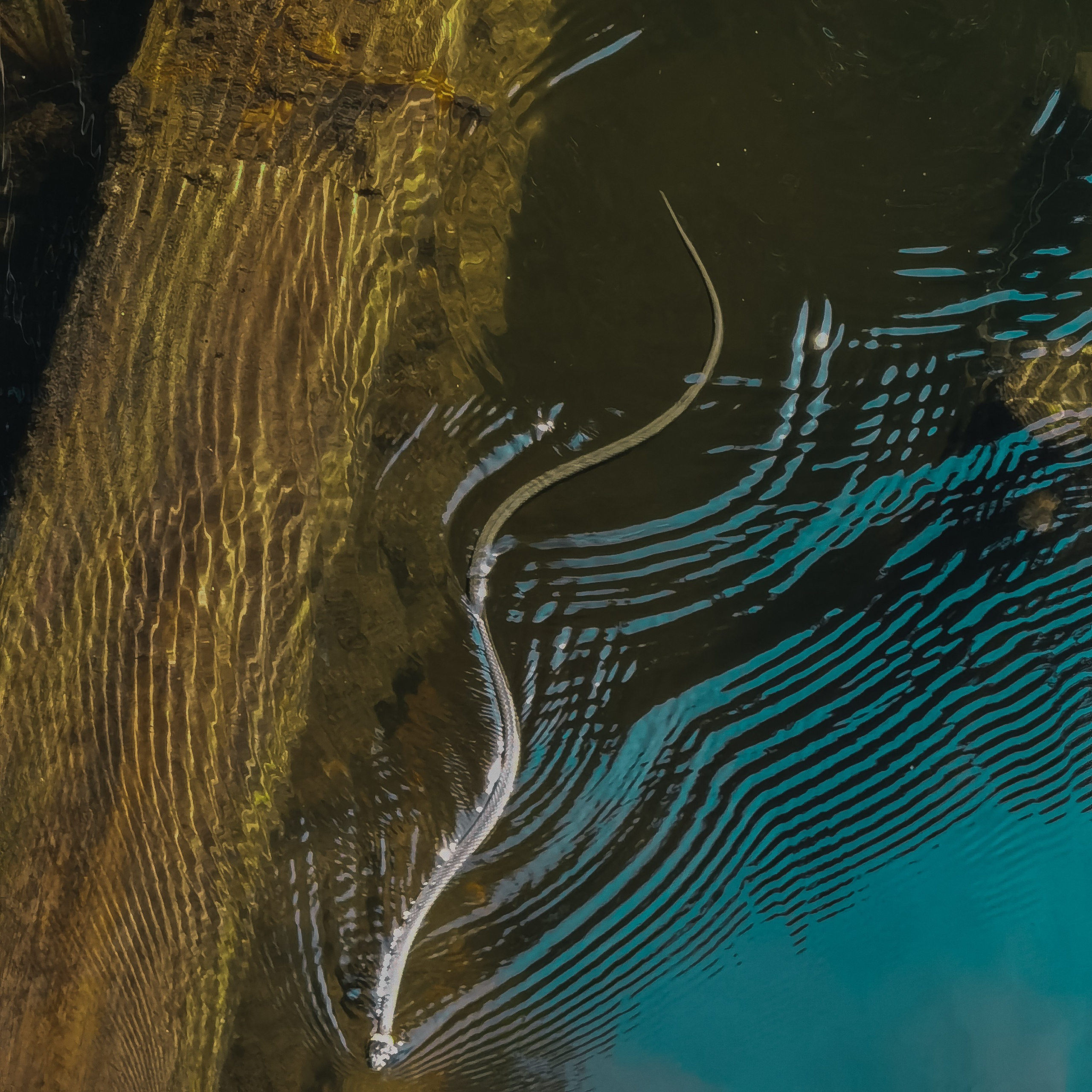 Услуги. Фотограф Минск