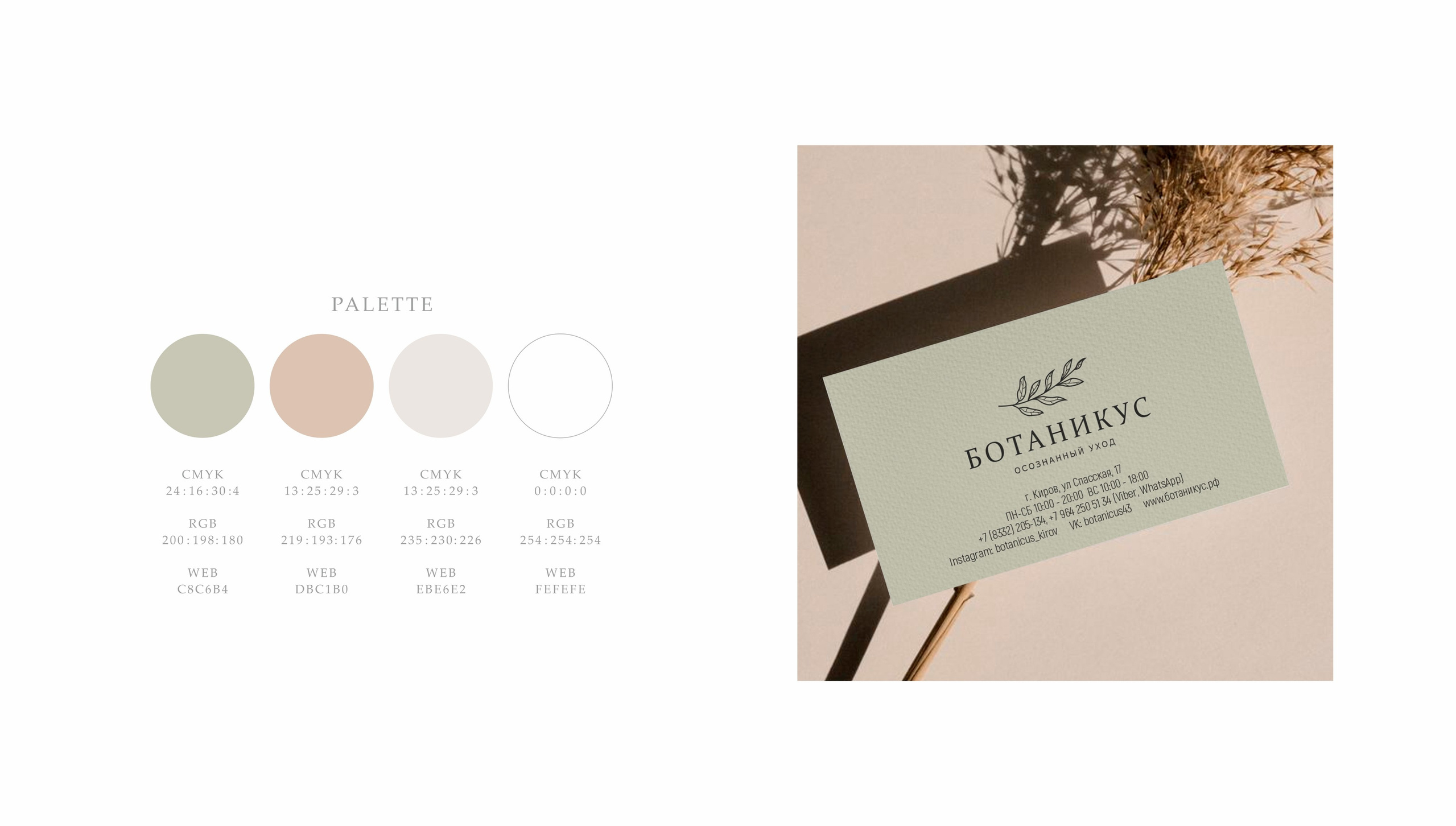 Логотип и фирменный стиль, Ботаникус