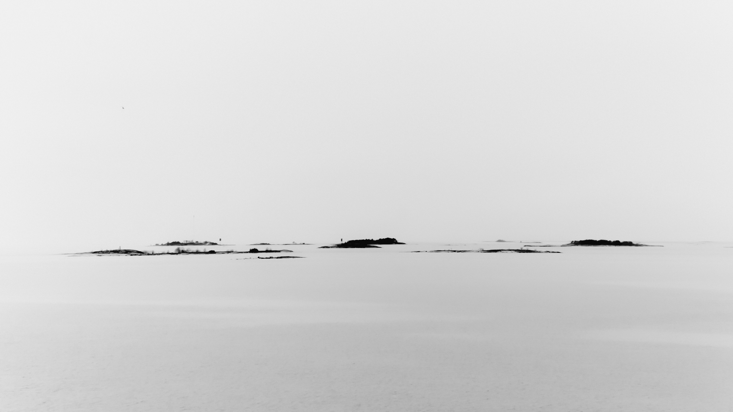 Ишкина Екатерина. Организация фотовыставок в Петербурге и Москве, MFamilia (МФамилия)
