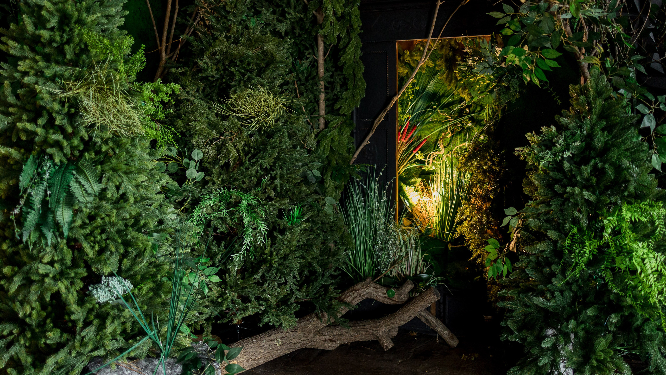 Фотостудия ЭМБЕР город Артём