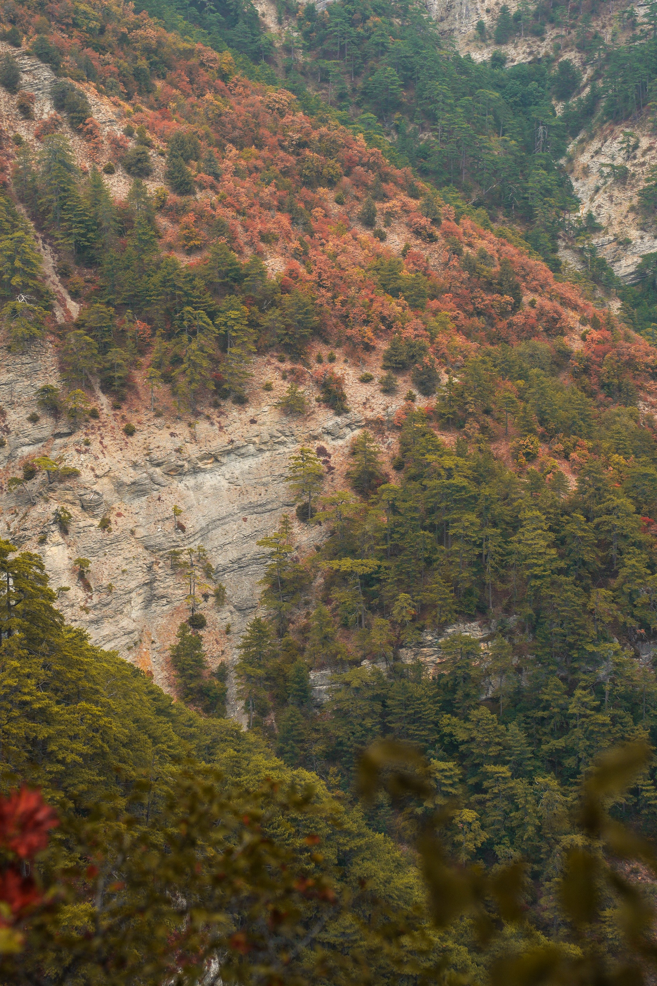 Боткинская тропа. Фотограф из Москвы — DASHA NOVA | Авторская фотография в разных жанрах
