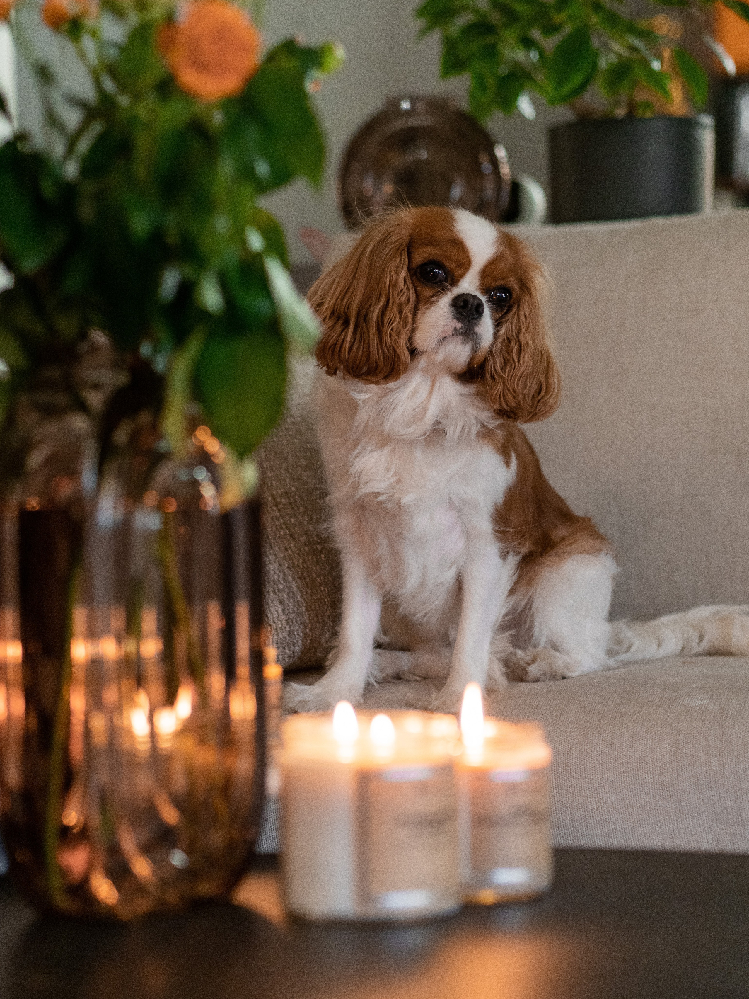 Креативный продюсер Екатерина Швец