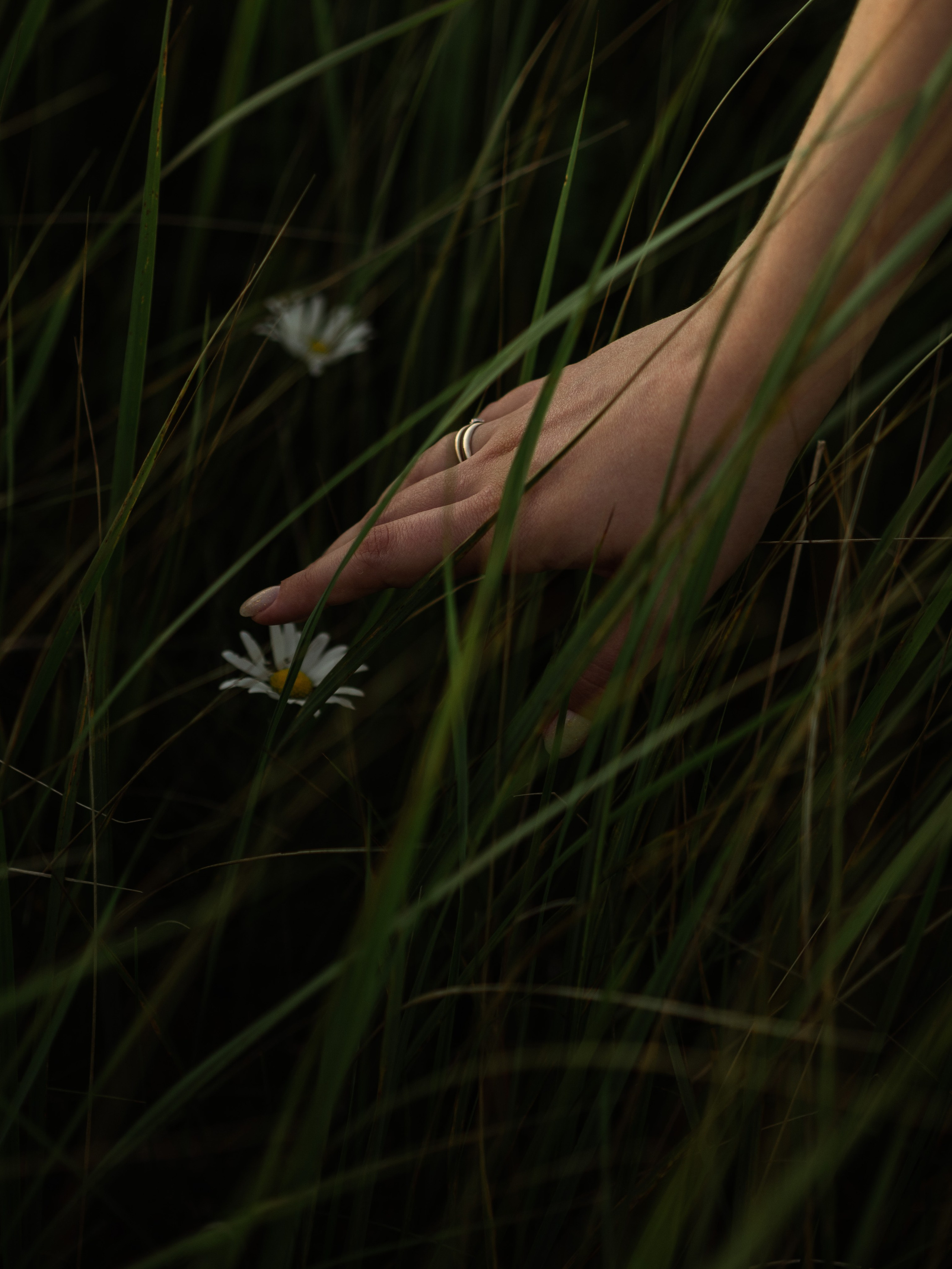 Фотограф Нижний Новгород. Фотограф в Нижнем Новгороде, Сарове и Москве. Оля Фролова