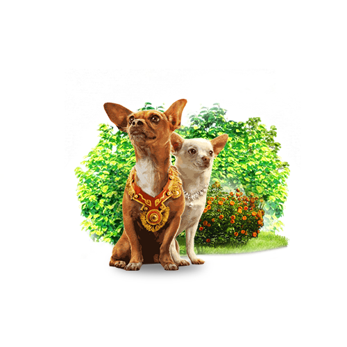 Иконки. Дизайнер Шульгина Наталья