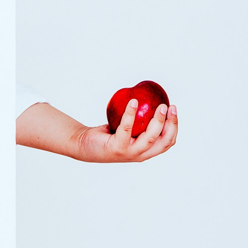 Гайд «Организация и проведение фотодней». Фотограф в Астане Табакова Наталья