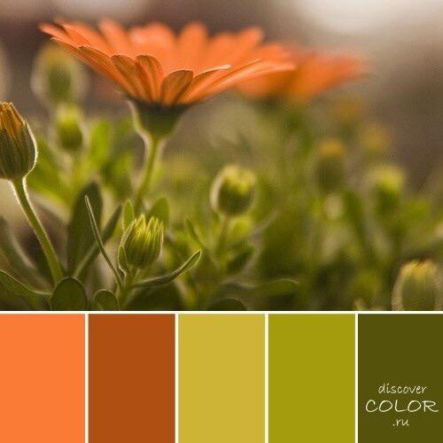 Советы. Женский и семейный фотограф