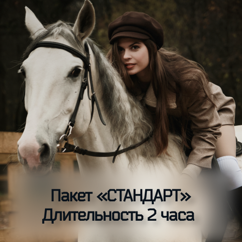 фотосессия с конём в москве и московской области