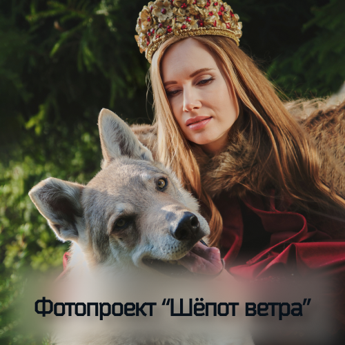 фотодень с волками в москве