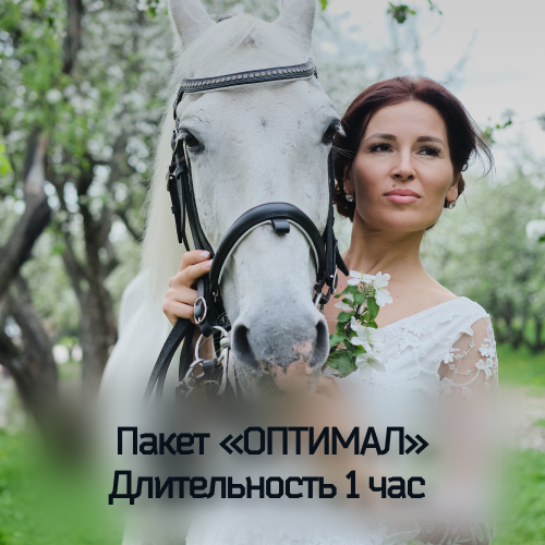 фотосессия с лошадью 2026 в москве и московской области