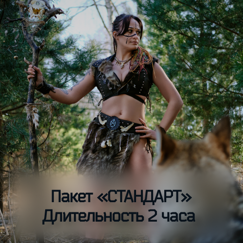 фотосессия с волками в москве и московской области
