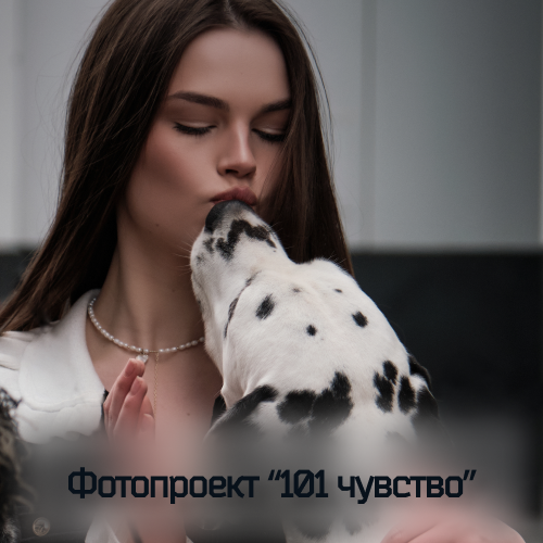 фотодень с далматинцами в москве