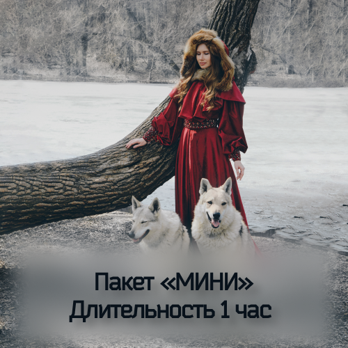 фотосессия со волками в москве и московской области