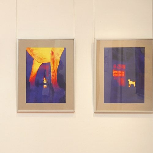 Групповые выставки / Group exhibitions. Visual artist Olga Burmistrova