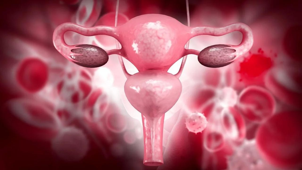 Чем лечить яичники. Как продлить молодость яичников препаратами Сово-Сова . КПД Сово-Сова