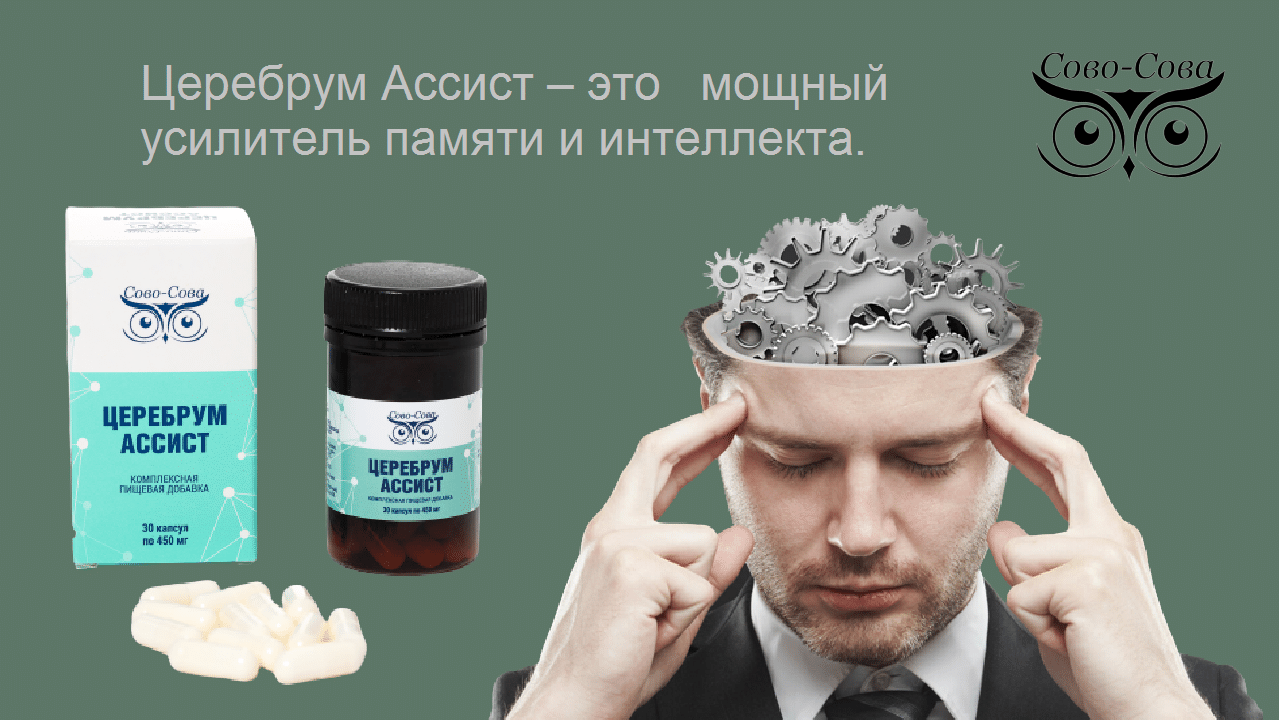 Как улучшить память и интеллект. Сово-Сово — Омоложение и оздоровление!