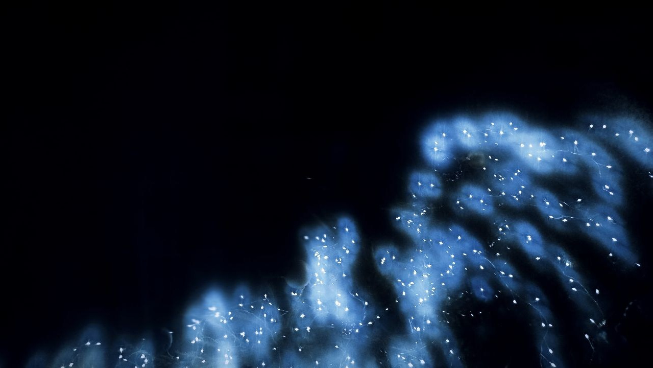 Иван: Для меня участие в фотоквесте стало отправной точкой к очередному (довольно коренному) пересмотру взгляда на мир. 💗КЛУБ НЕЖНОСТИ К СЕБЕ💗