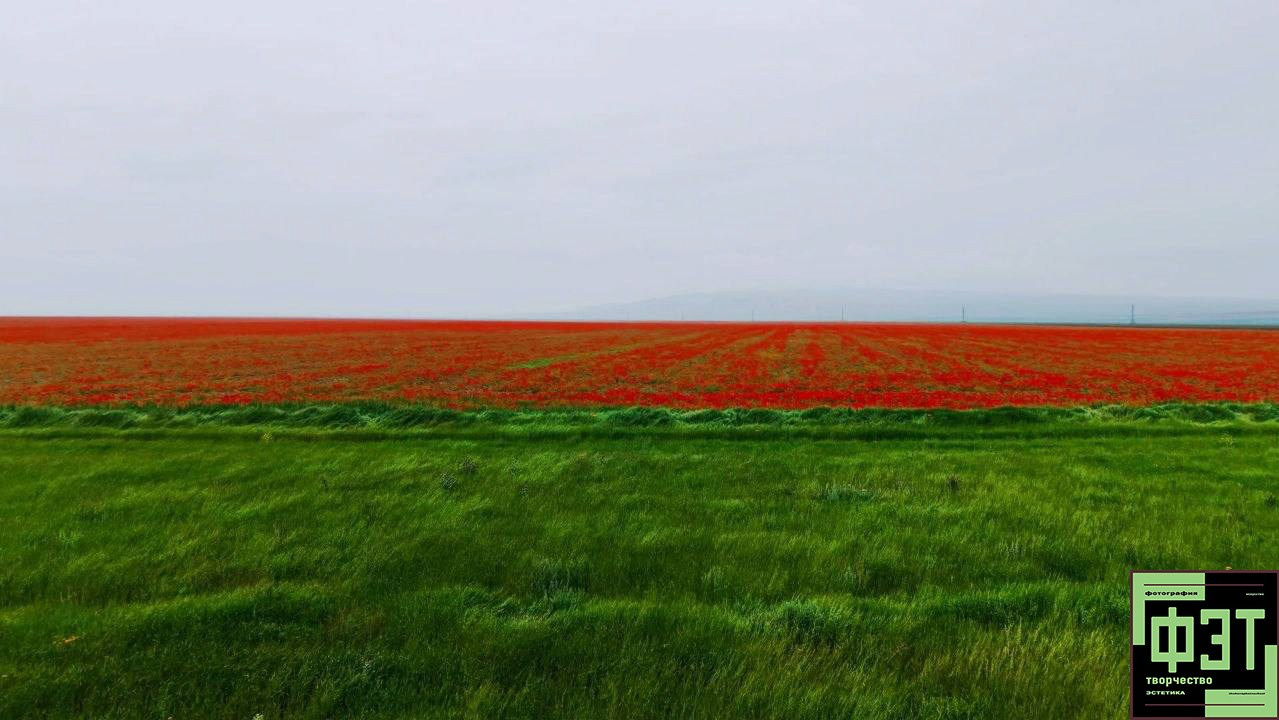 Альбом ФЭТ 31.05.26