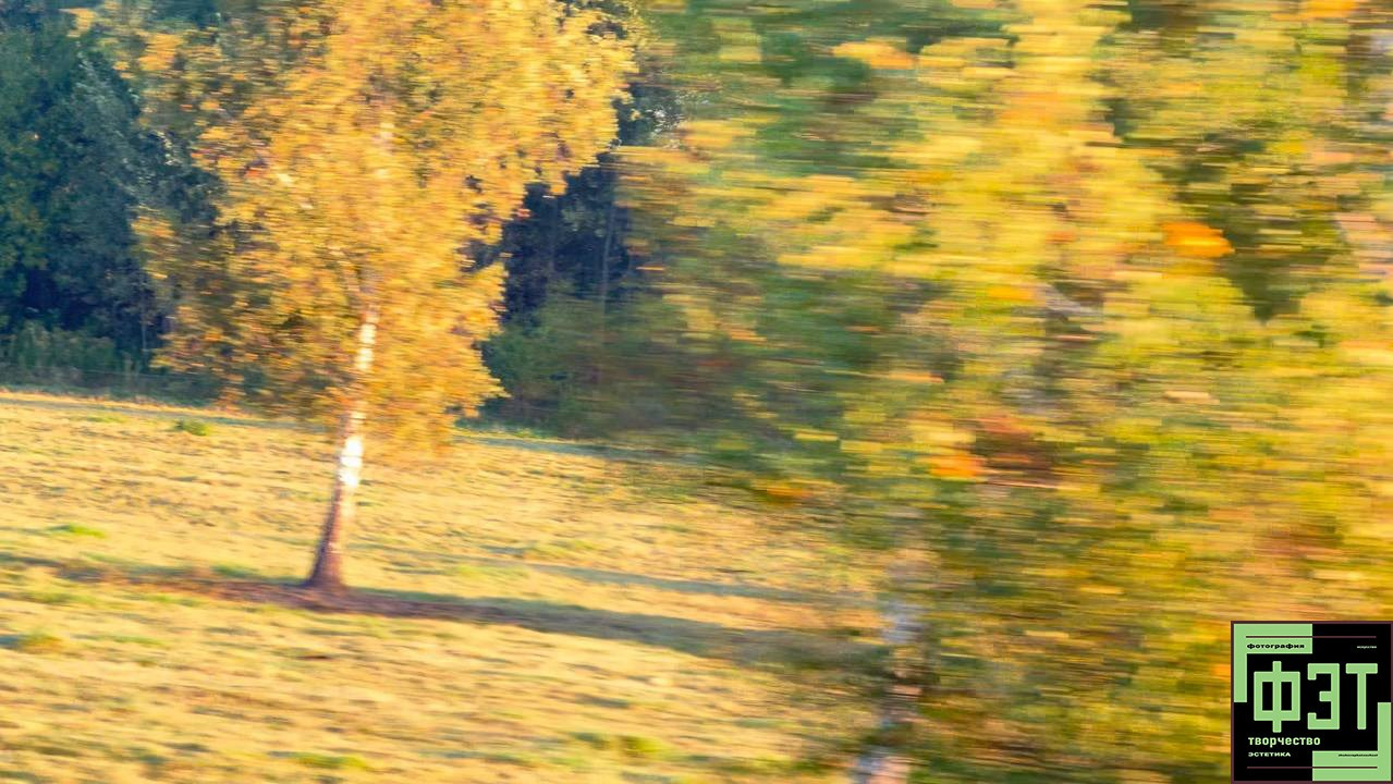 Альбом ФЭТ 11.10.2026. Бесплатный проект для фотографов