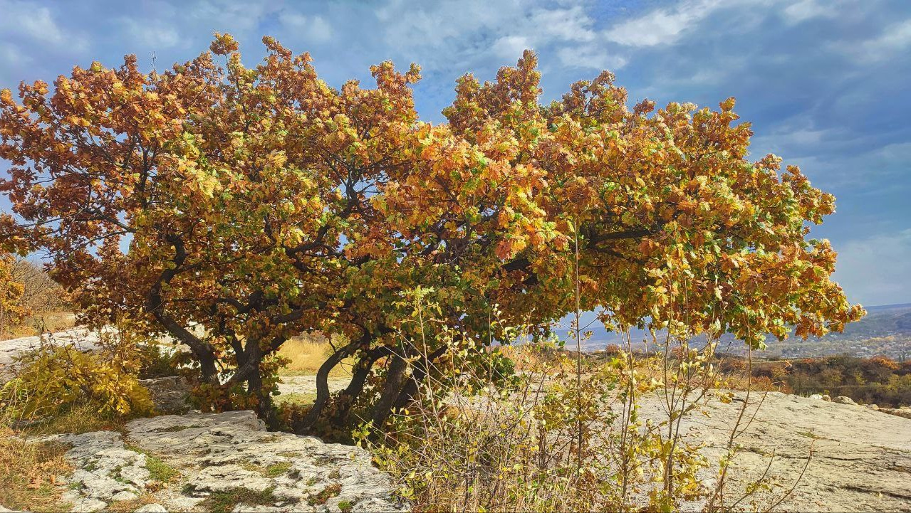 Осень в Пятигорске. Куда пойти чтобы сфотографировать красоту?. Фотосайт Андрея Прокопенко