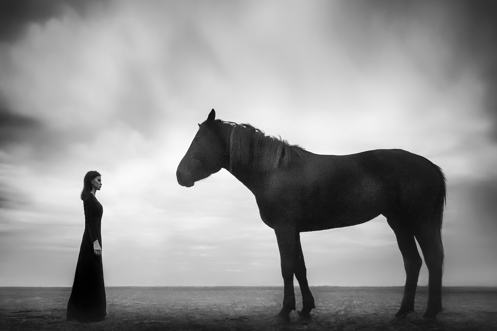 Купить картину на стену в подарок